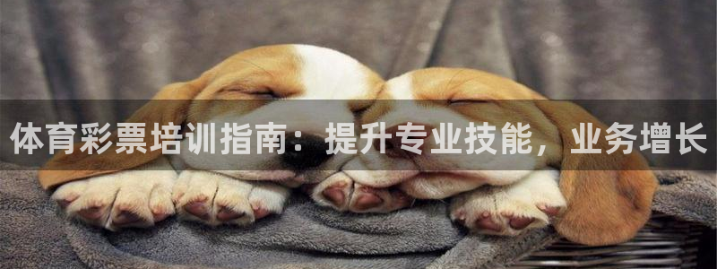 极悦平台客服的联系方式是什么：体育彩票培训指南：提升