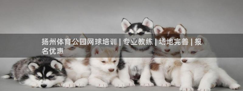 极悦平台官网登录网址查询
