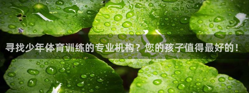 极悦平台app二维码怎么弄的：寻找少年体育训练的专业