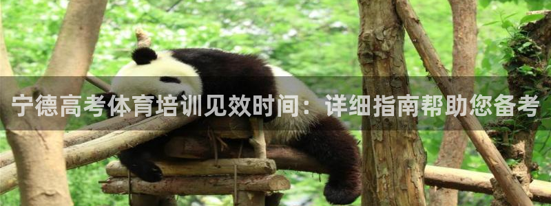 极悦平台注册登录不了：宁德高考体育培训见效时间：详细