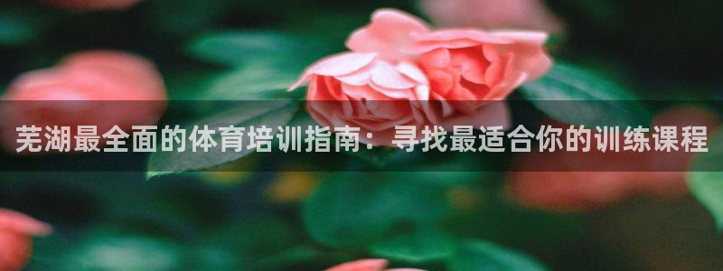 极悦平台是正规平台吗是真的吗
