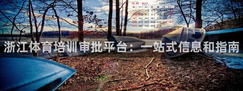 极悦牙膏怎么样：浙江体育培训审批平台：一站式信息和指