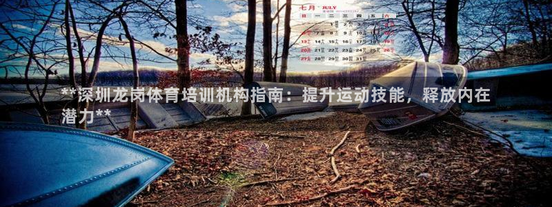 极悦娱乐代理多少钱一个月：**深圳龙岗体育培训机构指