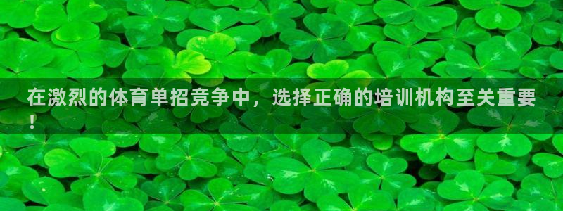 极悦娱乐代理：在激烈的体育单招竞争中，选择正确的培训