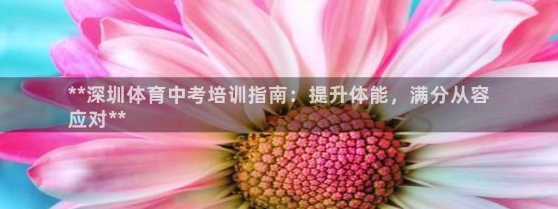 极悦平台代理：**深圳体育中考培训指南：提升体能，满