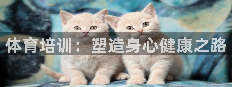 极悦官网注册最新版本更新内容是什么：体育培训：塑造身