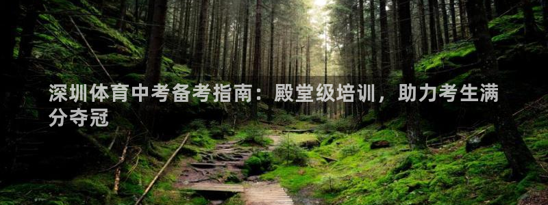 极悦平台注册失败如何解决：深圳体育中考备考指南：殿堂