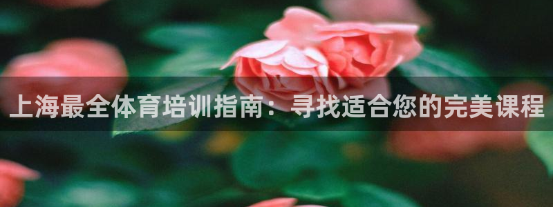 极悦平台注册登录不了：上海最全体育培训指南：寻找适合
