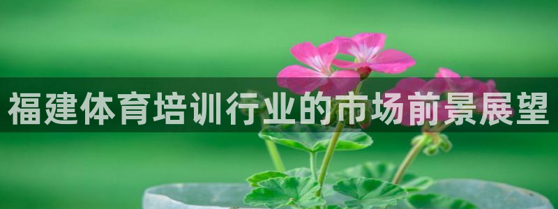 极悦平台用户评价与反馈：福建体育培训行业的市场前景展