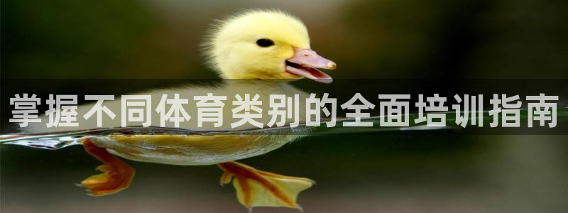 极悦平台app二维码怎么弄的：掌握不同体育类别的全面