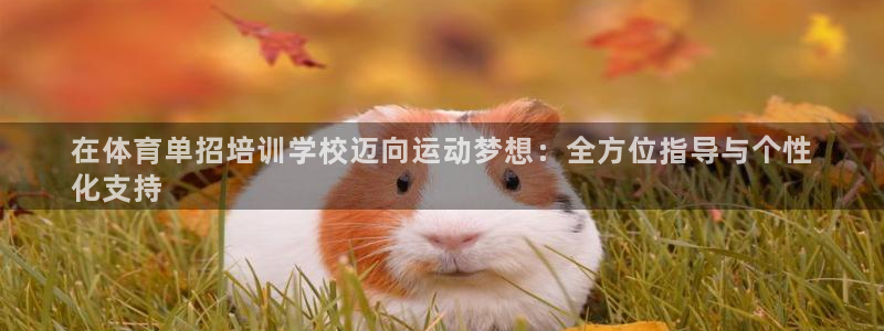 极悦平台客服的联系方式是什么：在体育单招培训学校迈向