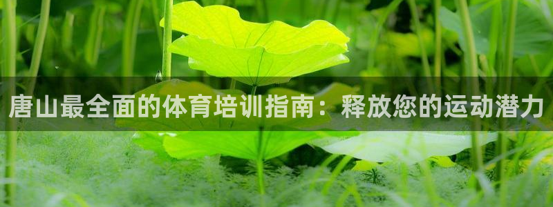 极悦娱乐会被骗吗知乎小说：唐山最全面的体育培训指南：