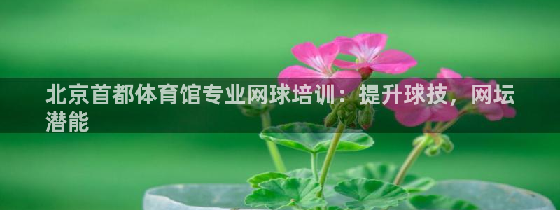 极悦平台是干嘛的软件：北京首都体育馆专业网球培训：提