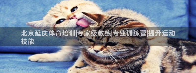 极悦平台app二维码怎么弄到桌面：北京延庆体育培训|