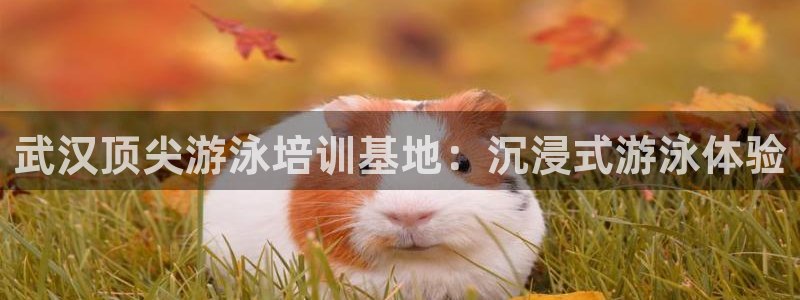极悦娱乐挂机赚钱是真的吗安全吗