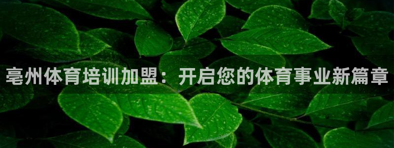 极悦平台客服团队介绍：亳州体育培训加盟：开启您的体育