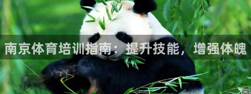 极悦娱乐公司最新招聘信息网：南京体育培训指南：提升技