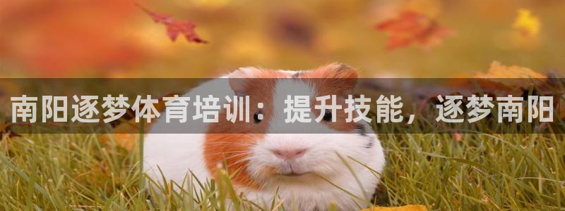 极悦平台使用教程