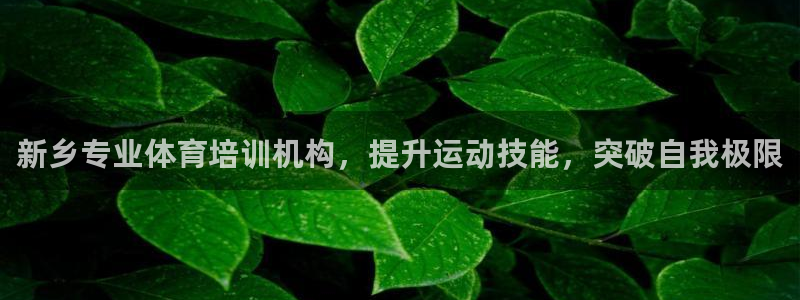 极悦娱乐代理怎么样：新乡专业体育培训机构，提升运动技