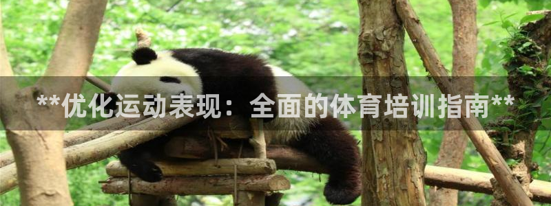 极悦娱乐公司最新招聘信息网：**优化运动表现：全面的