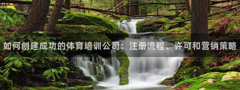 极悦平台注册官网：如何创建成功的体育培训公司：注册流
