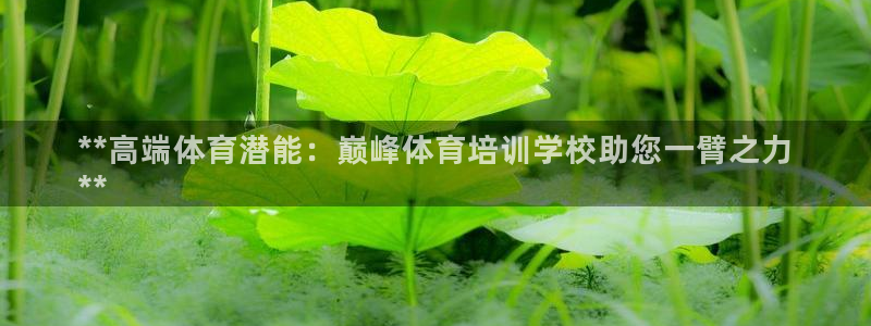 极悦平台app二维码怎么弄