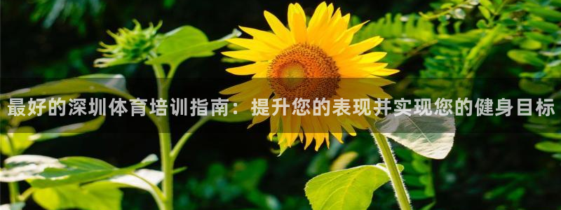 极悦平台官网登录不了怎么回事：最好的深圳体育培训指南