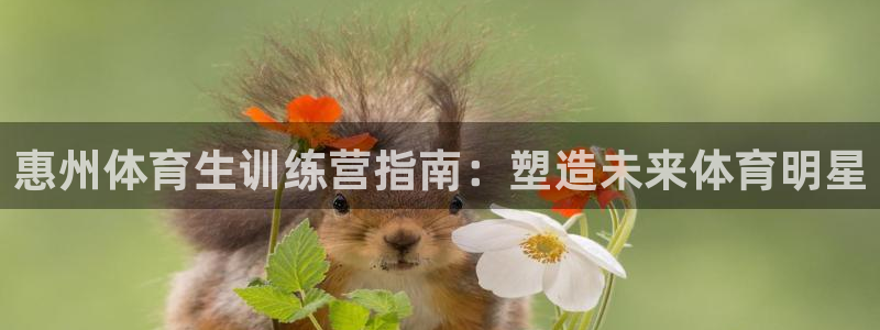 极悦平台注册用户名生成器下载：惠州体育生训练营指南：