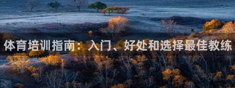 极悦平台官方网站登录入口：体育培训指南：入门、好处和