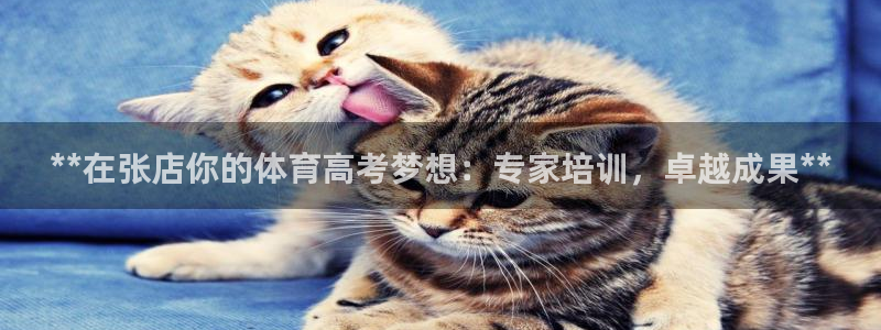 极悦官方网站app下载软件：**在张店你的体育高考梦