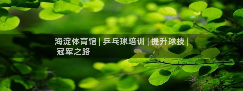 极悦平台注册流程详解：海淀体育馆 | 乒乓球培训 |