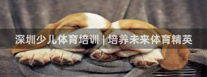 极悦娱乐贴吧官网：深圳少儿体育培训 | 培养未来体育