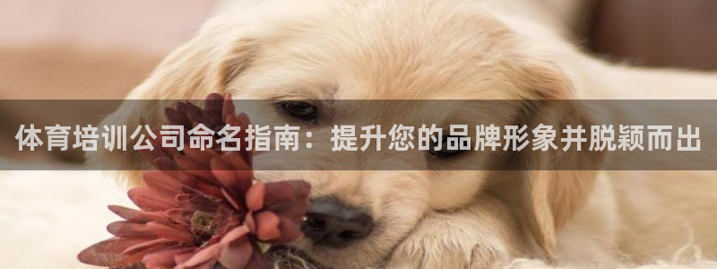 极悦官网首页登录入口下载：体育培训公司命名指南：提升