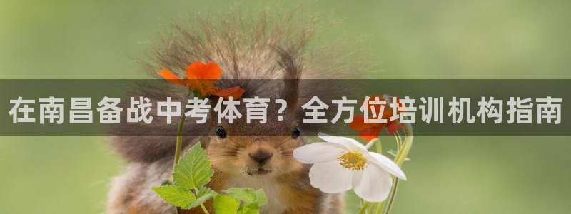 极悦平台登录入口注册：在南昌备战中考体育？全方位培训