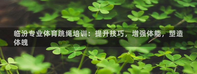 极悦平台注册流程：临汾专业体育跳绳培训：提升技巧，增