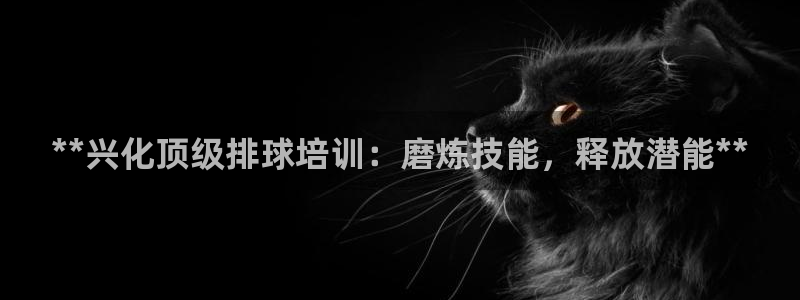 极悦平台与网易合作详情：**兴化顶级排球培训：磨炼技