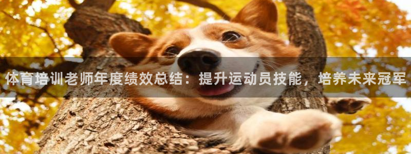 极悦官方网站app下载安装：体育培训老师年度绩效总结
