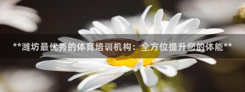 极悦平台官网入口网站：**潍坊最优秀的体育培训机构：