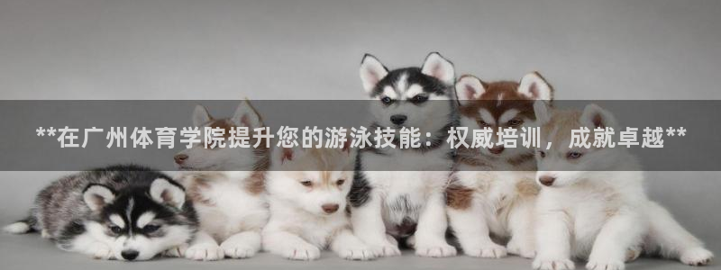 极悦平台代理怎么赚钱：**在广州体育学院提升您的游泳