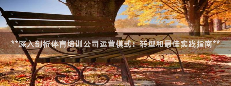 极悦平台官网登录网址查询：**深入剖析体育培训公司运