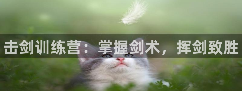 极悦娱乐的最新版本更新内容是什么：击剑训练营：掌握剑
