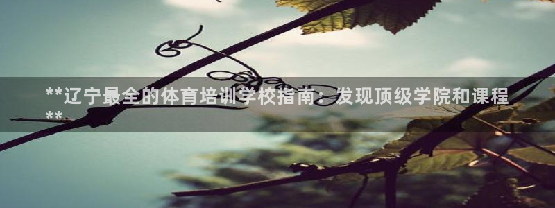 极悦娱乐官网客服联系方式电话：**辽宁最全的体育培训
