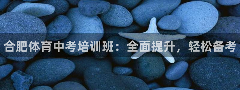 极悦官网注册最新版本更新内容在哪：合肥体育中考培训班