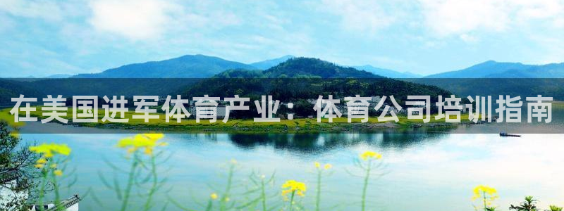 极悦平台官网入口网站：在美国进军体育产业：体育公司培