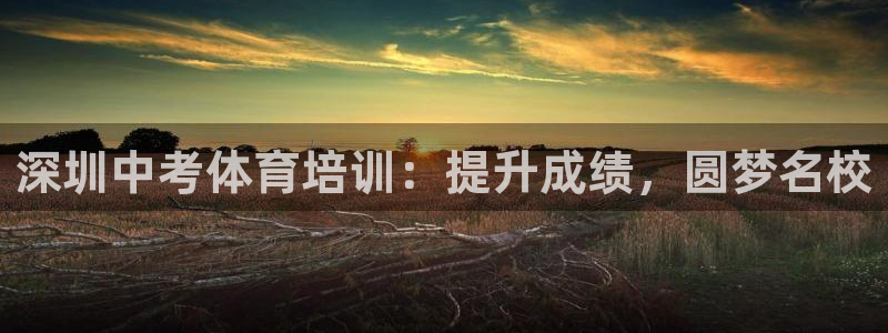 加盟极悦教育怎么样：深圳中考体育培训：提升成绩，圆梦