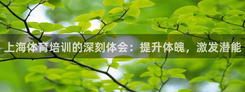 极悦平台注册官网：上海体育培训的深刻体会：提升体魄，