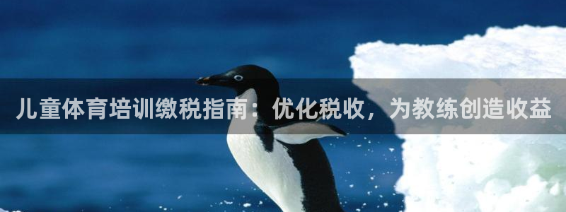 极悦平台注册失败如何解决方法：儿童体育培训缴税指南：