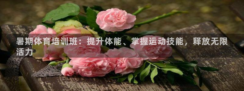 极悦生活家是什么平台的产品：暑期体育培训班：提升体能