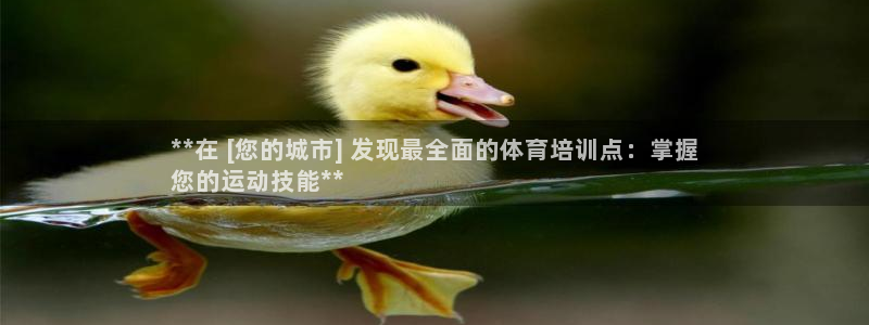极悦平台注册和登录页面一样吗：**在 [您的城市] 