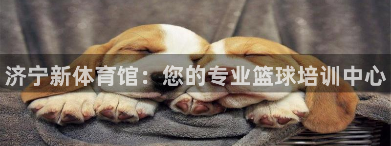 极悦平台是干什么的软件：济宁新体育馆：您的专业篮球培